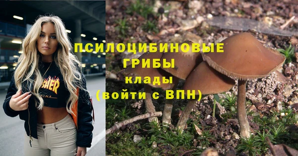 тгк Армянск